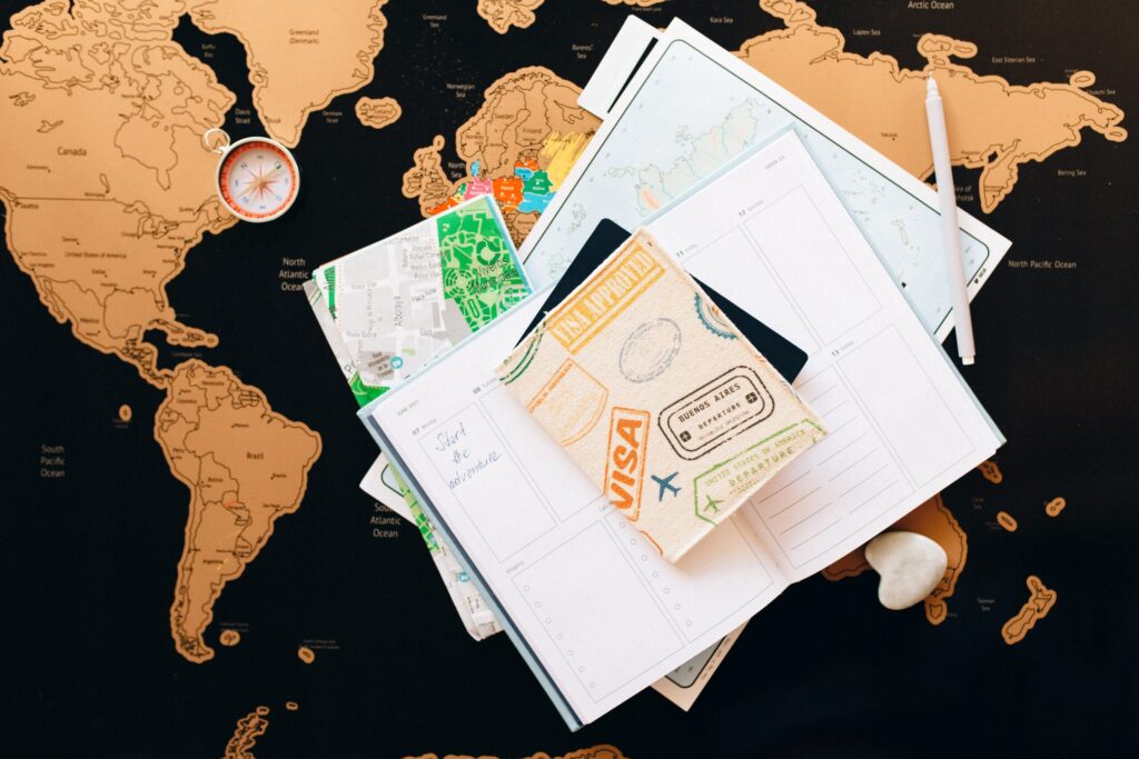 immigration consultant