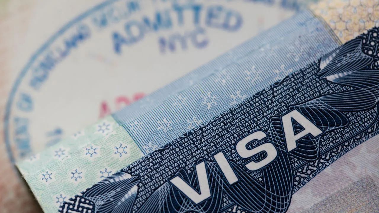 immigration consultant dubai