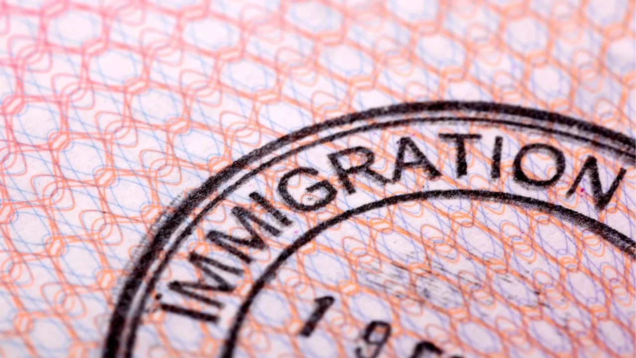 real immigration consultant Dubai